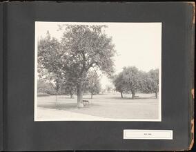 Poe Park [Parks of the Bronx, 1904.]