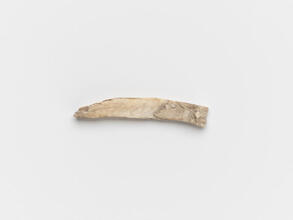 Fragment