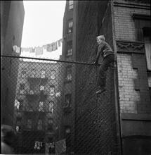 Shoe Shine Boy [Mickey climbing a fence.]